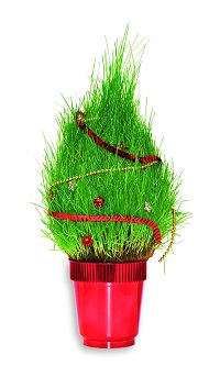 CHRISTMAS THEMED CHRISTMAS THEMED