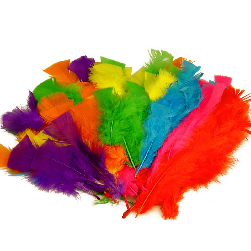 Feathers Large 30gm Approx. 140 Per Bag Assorted 
