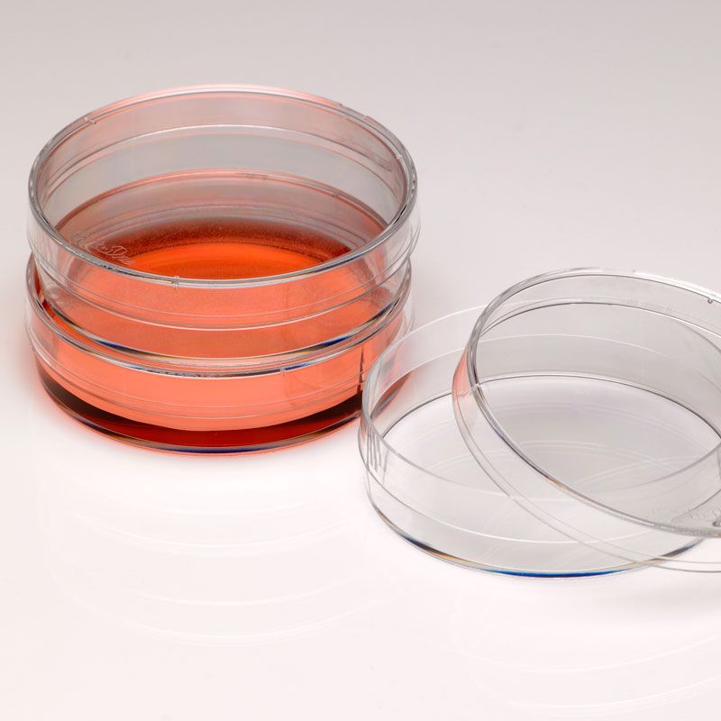 Petri Dish, Plastic 60mm Disposable, 10 pack