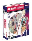 4D Human 32cm Transparent Human Body Anatomy Model