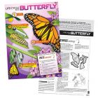 Lifecycle of a Butterfly Poster