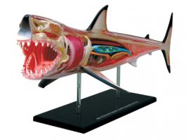 4d vision great white shark