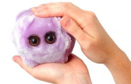 Giant microbes australia deals