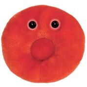Giant microbes red blood cell clearance