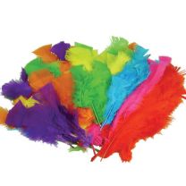 Feathers Small Approx. 50 Per Bag Assorted