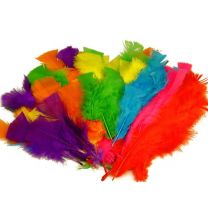 Feathers Large 30gm Approx. 140 Per Bag Assorted