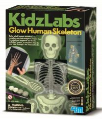 Kidzlabs Glow Human Skeleton