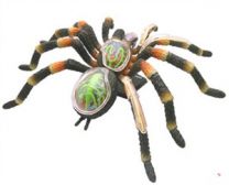 4D Vision Tarantula Spider Anatomy Model