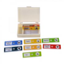 Plastic Prepared Slides, Insects
