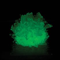 Crystal Growing Kit - Glow in the Dark