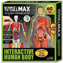 Interactive Human Body