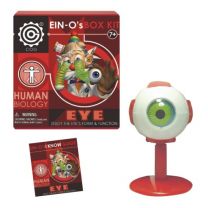 EIN-O Eye Box Kit - Human Biology