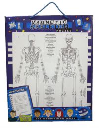 Magnetic Skeleton Puzzle