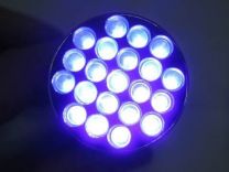 UV Torch, 21 LED, 395nm Black Light