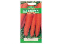Carrot Vegetable Seeds All Seasons - 2000