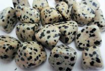 Dalmation Jasper - Polished