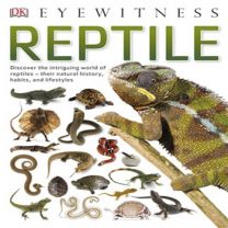 Eyewitness: Reptile