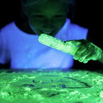 Phosphorescent Powder