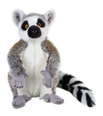 Lemur - National Geographic
