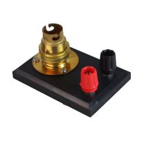 Lamp holder, SBC, mounted with terminals