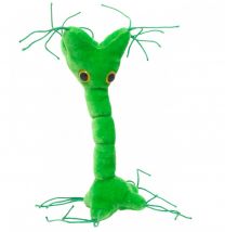 GIANT Microbes-Nerve Cell