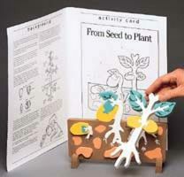 Book Plus Models - Seed To Plant Lifecycle