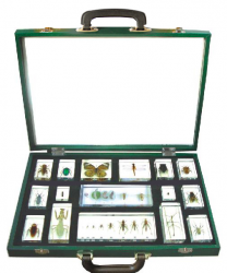 Assorted Specimen Kit, 16 Piece