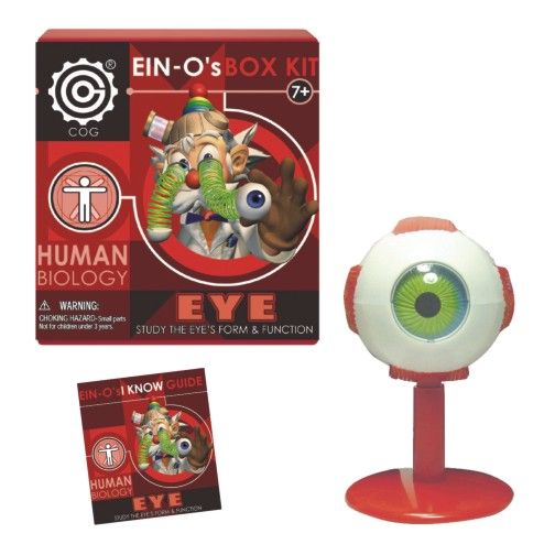 EIN O Eye Box Kit Human Biology Mad About Science