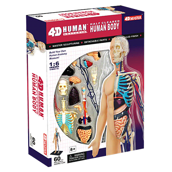 人気商品・限定商品ばかりの「超得 半額福袋」が販売開始 Half 4D Cleared Science About Mad | Model Body Human その他