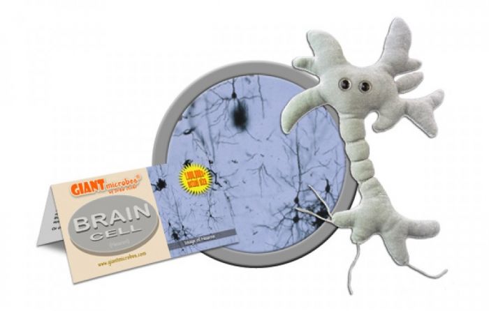 GIANT Microbes Mad About Science