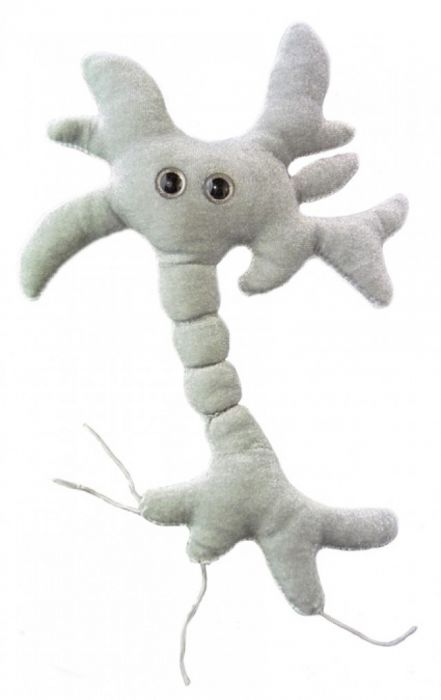 Giant microbes australia sales