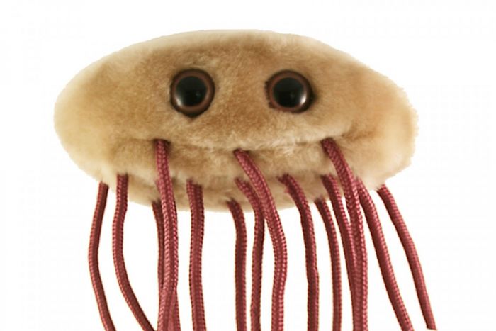 GIANT Microbes Mad About Science