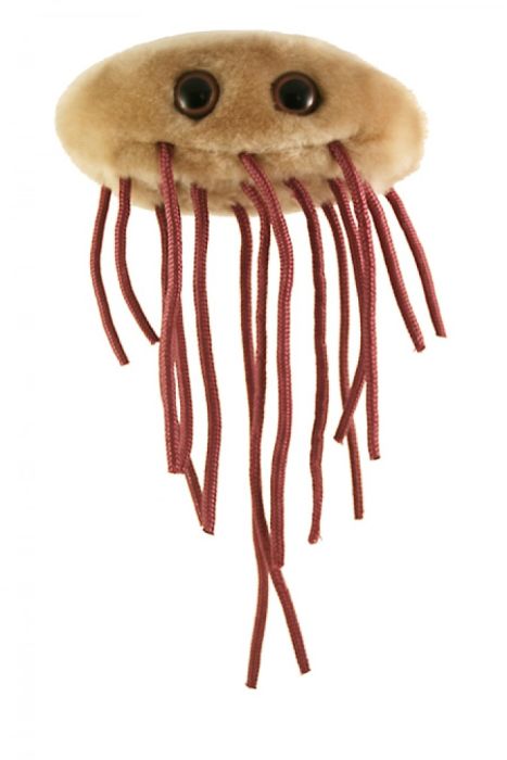 Germ plush toys outlet