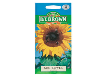 Sunflower Flower Seeds - Pack of 45