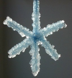 Grow Your Own Crystal Snow Flake