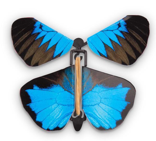 Wind Up Australian Butterfly